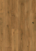 Oak Alamo Vivo