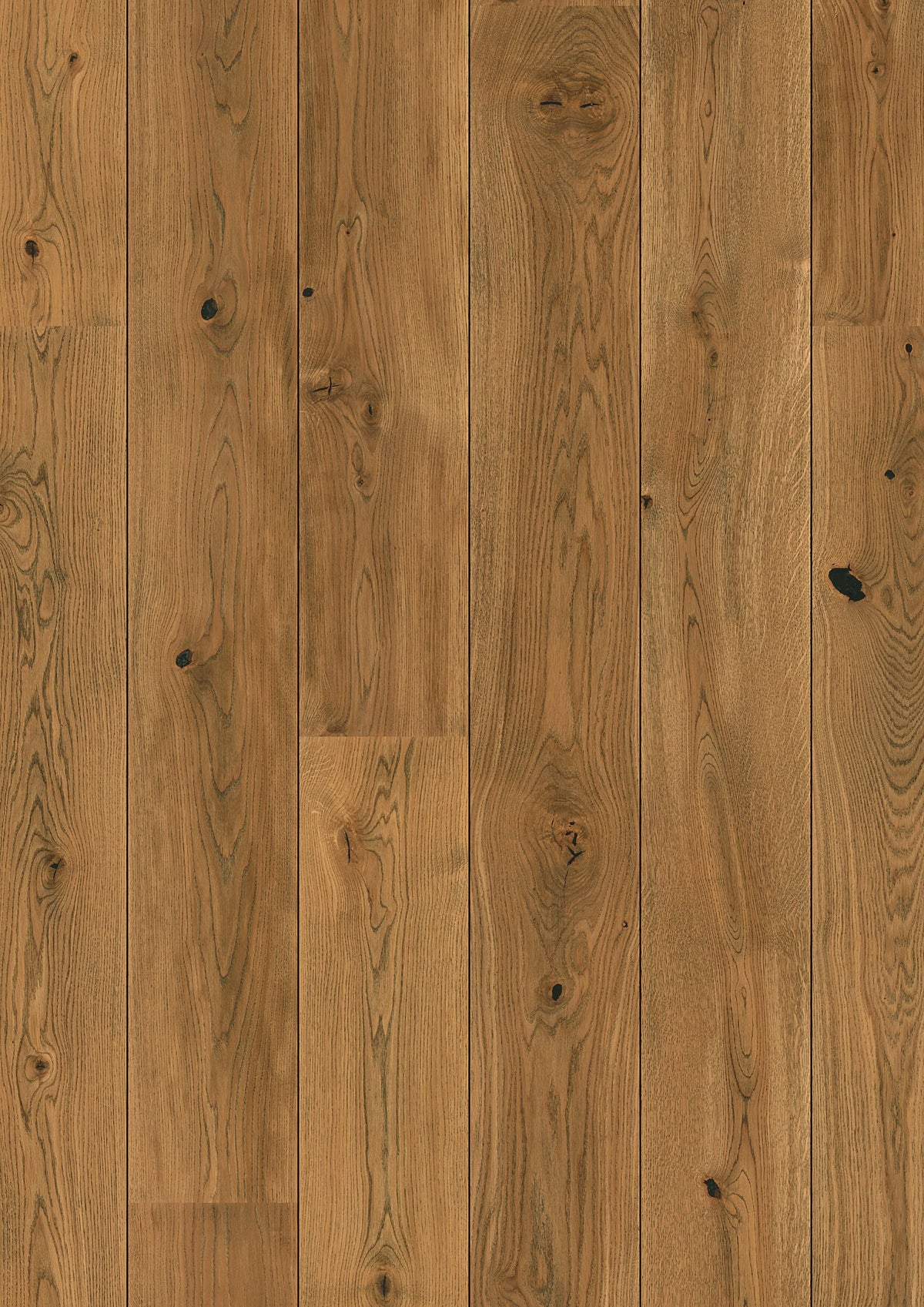 Oak Alamo Vivo
