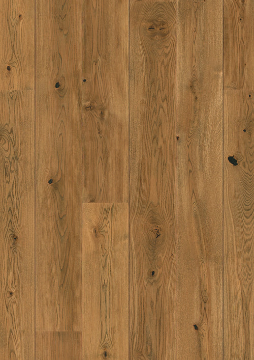 Oak Alamo Vivo