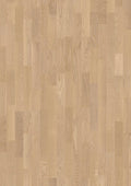 Oak White Andante
