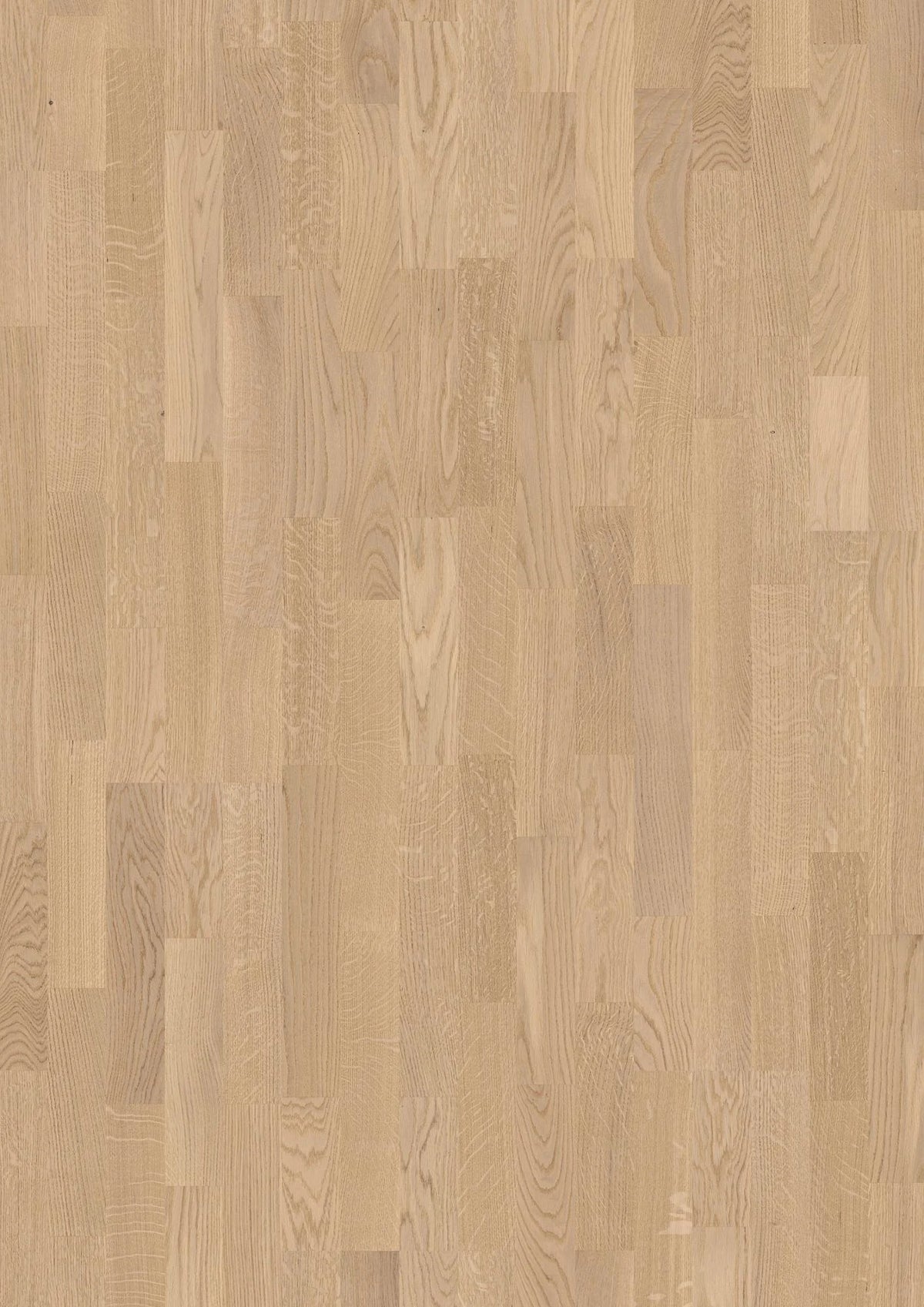 Oak White Andante