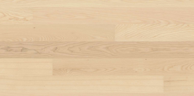 Ash Transparent Andante