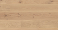 Oak Animoso