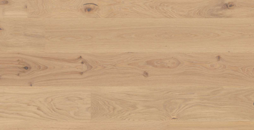 Oak Animoso