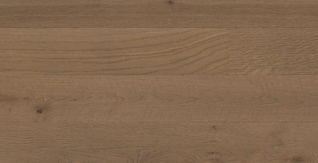 Oak Arizona Animoso