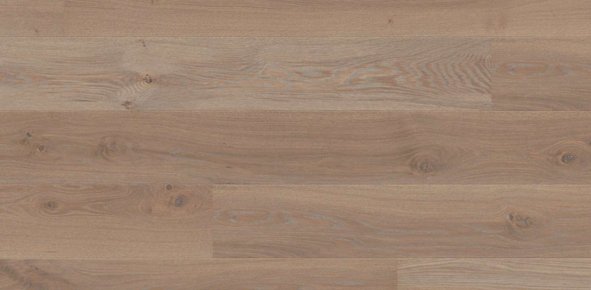 Oak Warm Grey Animoso