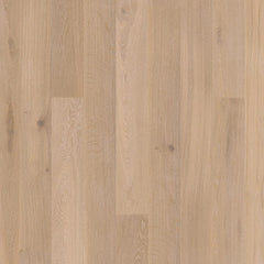 Oak Coral Animoso