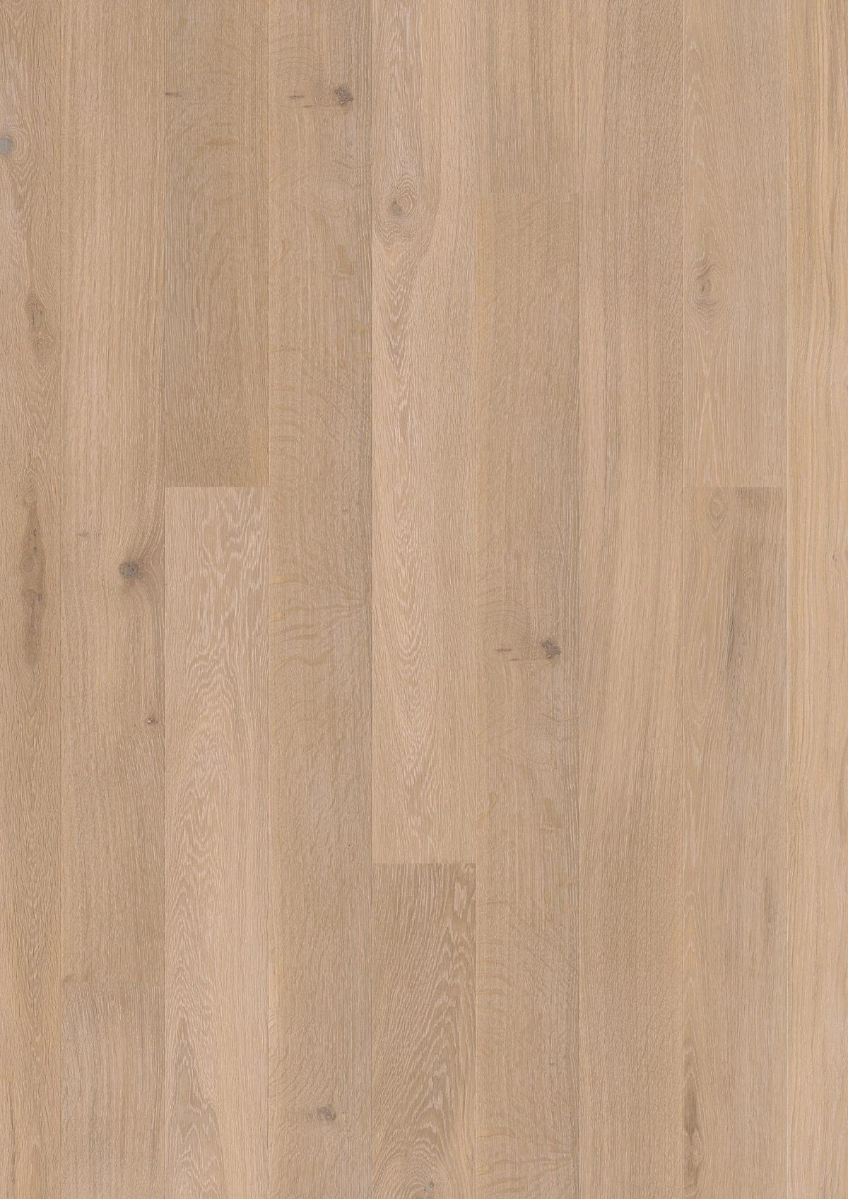 Oak Coral Animoso 138
