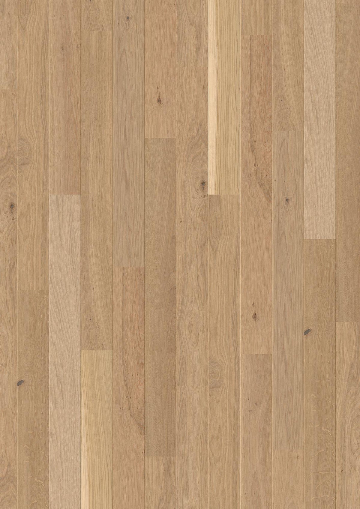 Oak Rustic
