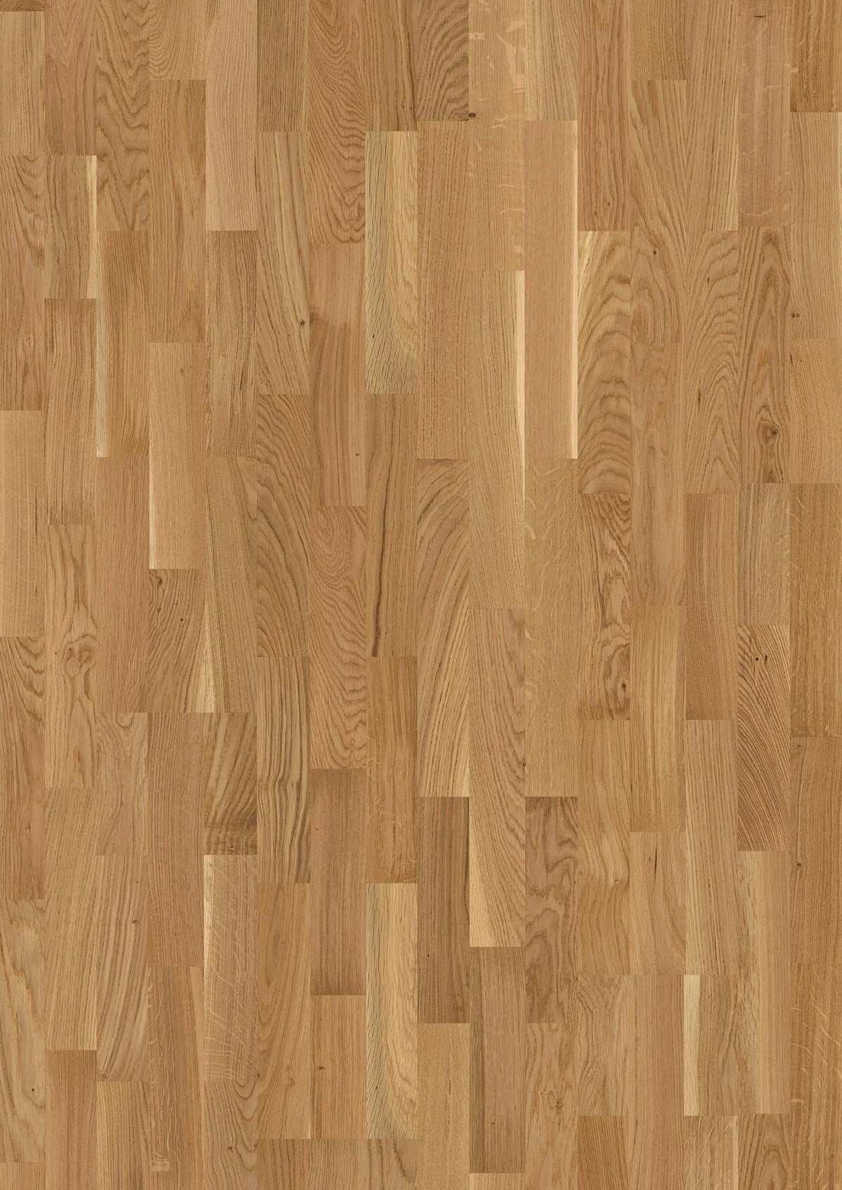 Oak Finale