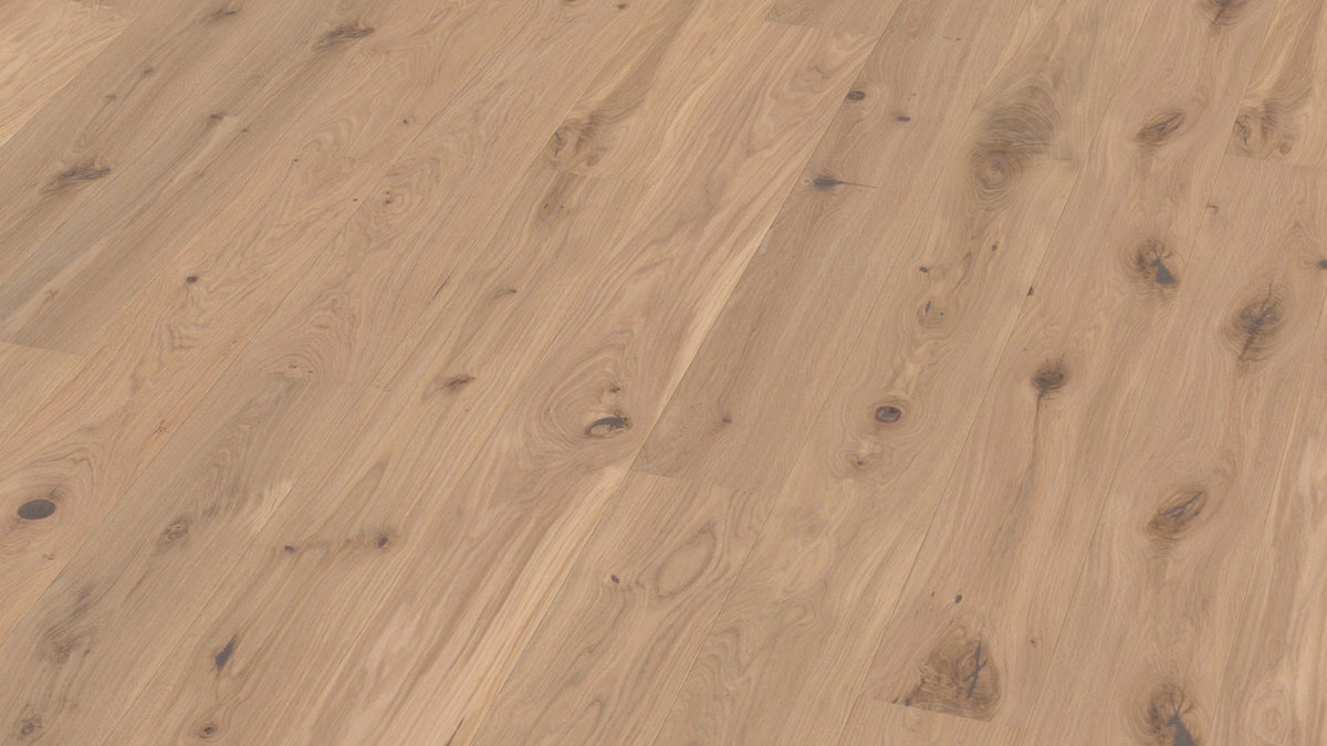 Oak Vivo
