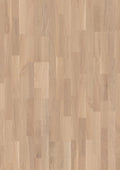 Oak Coral Finale