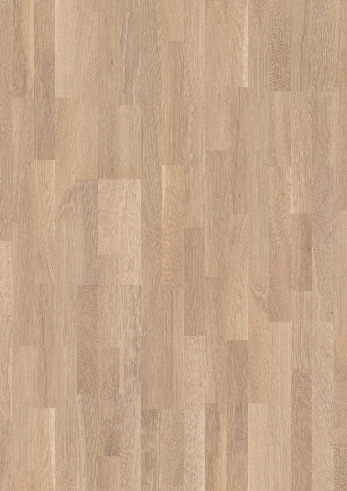 Oak Coral Finale
