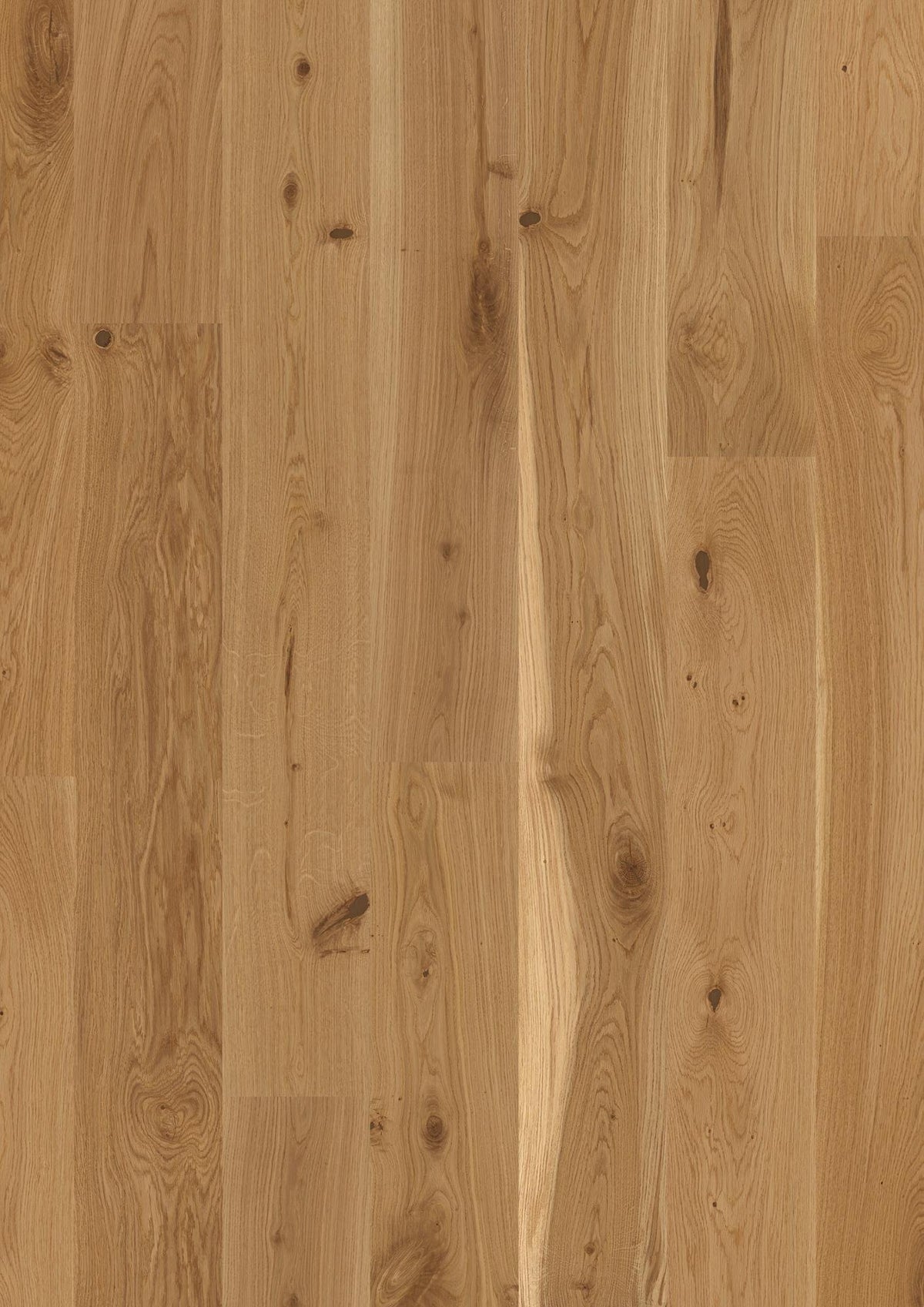 Oak Vivo